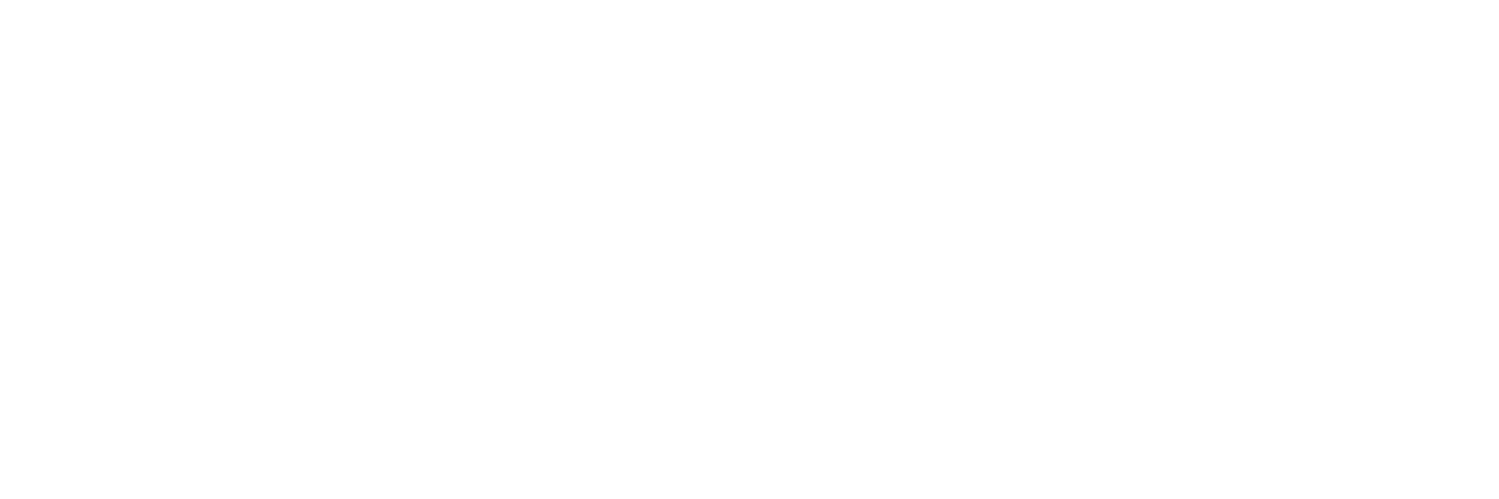 Biointra Corp